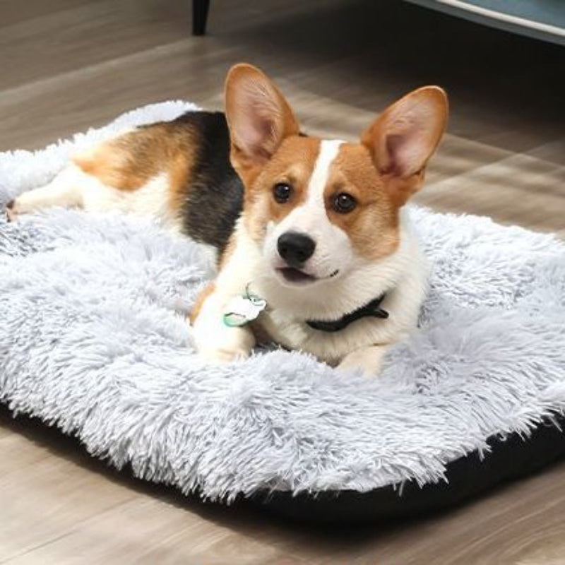 Pet Dog Bed Nest Warm Plush Dog Cat Cushion with Cozy Sponge for Medium Pets Snooze Calm Sleeping Indoor, Machine Washable
