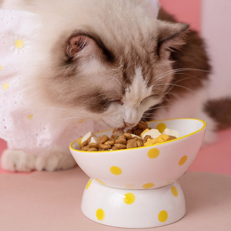 Neck Protection Pet Bowl Hepburn Style Polka Dot Cat Bowl Ceramic High-Foot Spine Protection Pet Bowl Oblique Cat Bowl