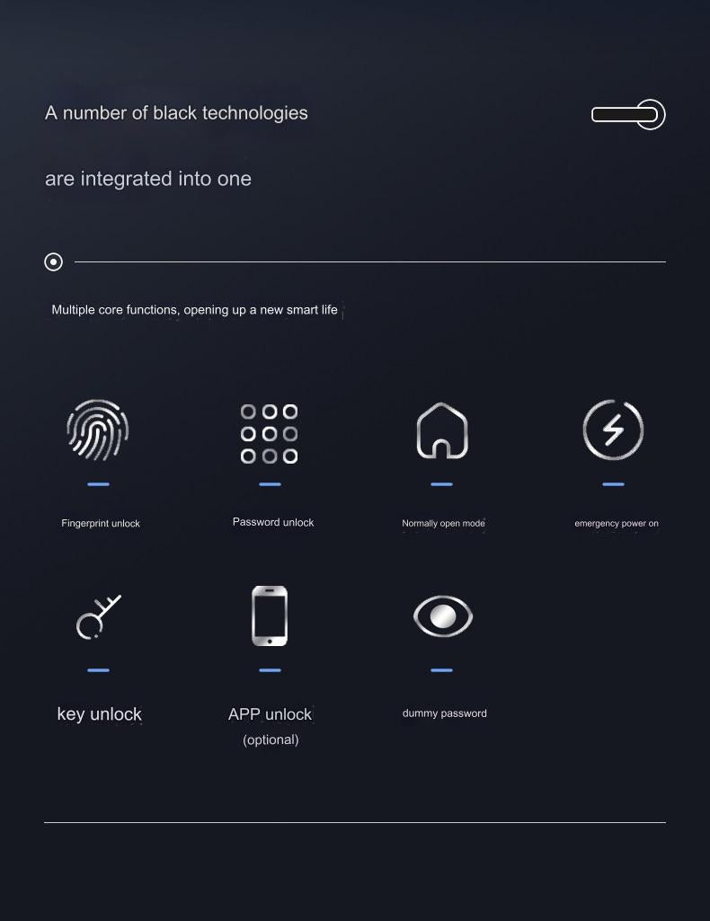 Smart Door Lock Remote Unlock Fingerprint Handle Lock HDB Password Door Lock Smart Door Knob Lock Apartment Bedroom