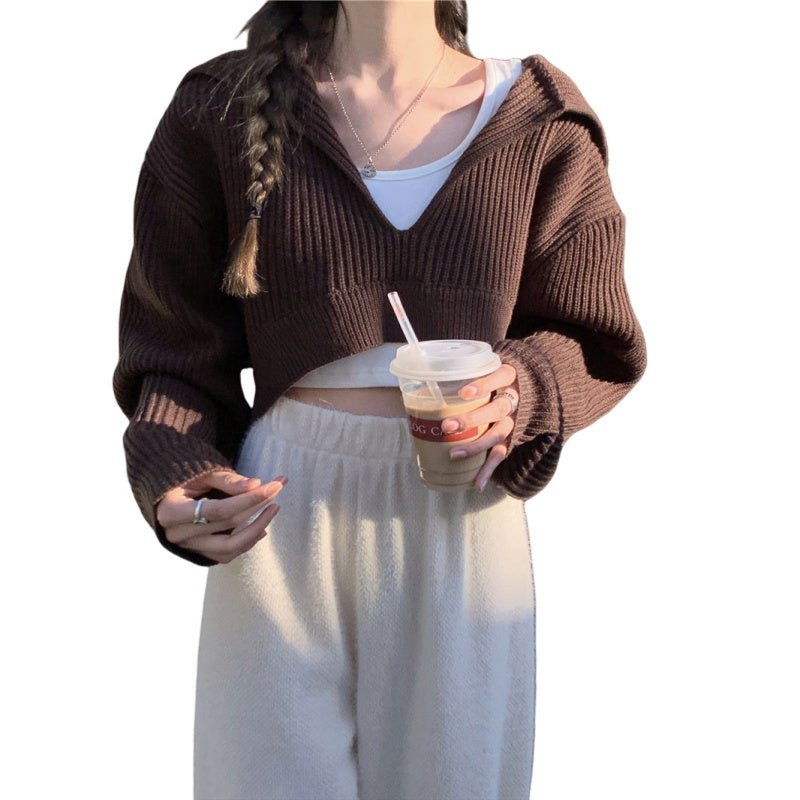 Coffee Color Women's Loose Fit V Neck Long Sleeve Knitted Sweater Cropped Top Pullover for Autumn Winter Clothing Outfit