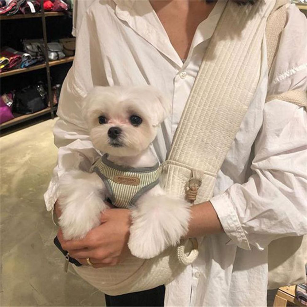 Large Capacity Canvas Bag Cat Bag Pet Home Travel Puppy Dog Carrier Large Sling Bags Hiking Outdoor Casual Shoulder Bags