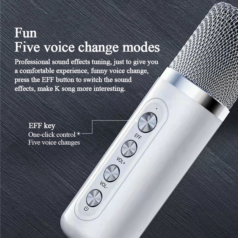 YS-203 Home KTV Audio Set Family Party Karaoke Machine Bluetooth Wireless Dual Microphone Audio Integrated Equipment Sound