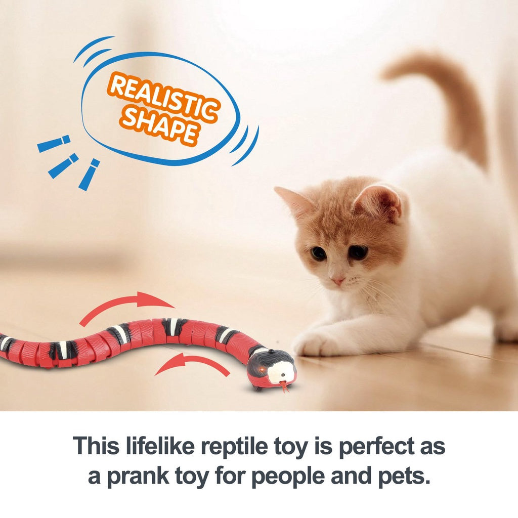 Smart Cat Toys USB Rechargeable, Electronic Sensing Snake Pet Toy For Cats And Kitten Remote Control Induction Snake