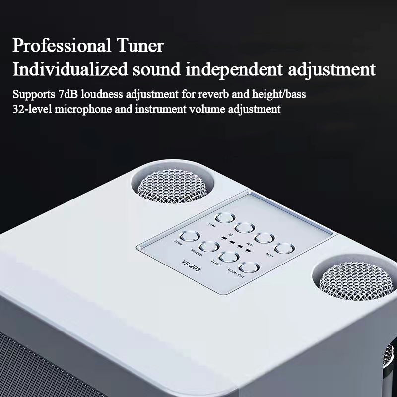 YS-203 Home KTV Audio Set Family Party Karaoke Machine Bluetooth Wireless Dual Microphone Audio Integrated Equipment Sound