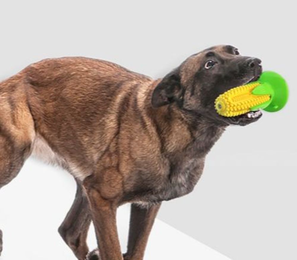 Dog Corn-Shaped Toy With Suction Cup Puppy Chew Cleaning Dental Toy Pet Molar Stick Bite Resistant Interactive Interest