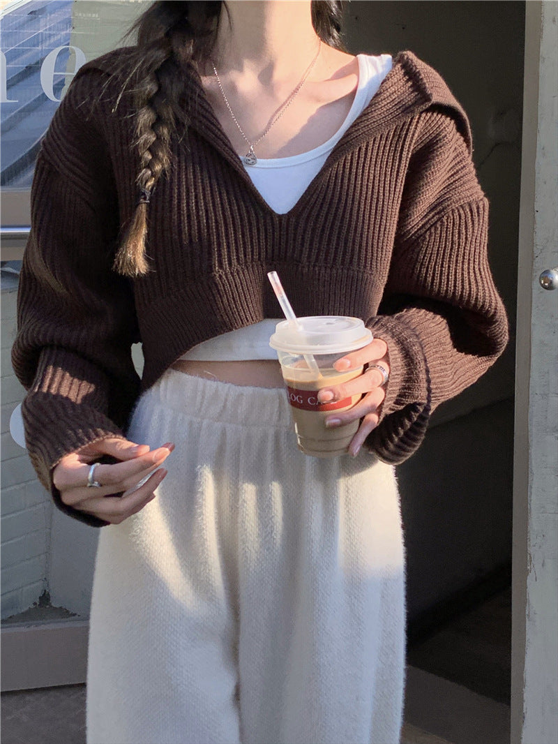 Coffee Color Women's Loose Fit V Neck Long Sleeve Knitted Sweater Cropped Top Pullover for Autumn Winter Clothing Outfit