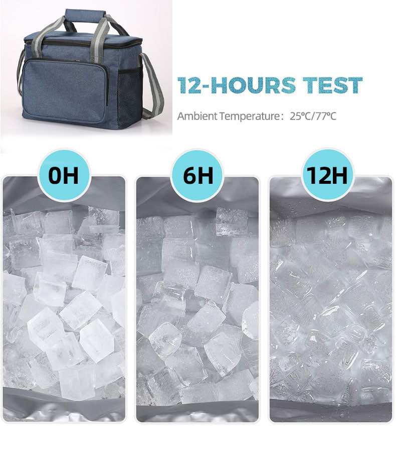 15L Insulated Portable Cooler Warmer for Travel Hiking Camping Fishing Picnics Outings Family Events