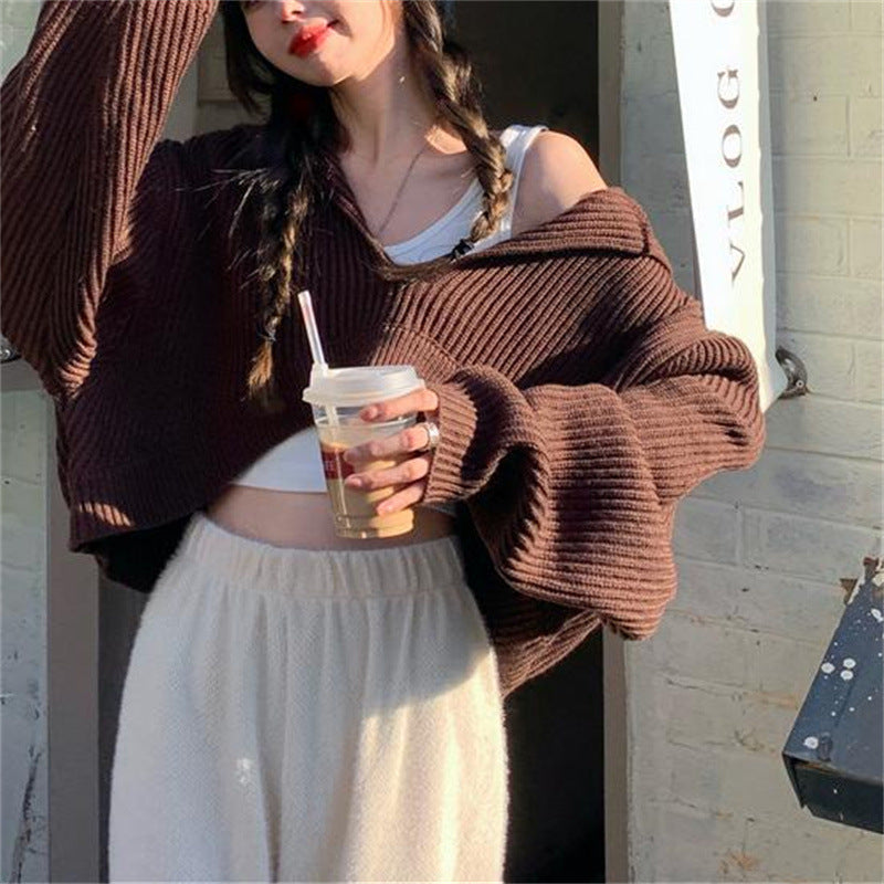 Coffee Color Women's Loose Fit V Neck Long Sleeve Knitted Sweater Cropped Top Pullover for Autumn Winter Clothing Outfit