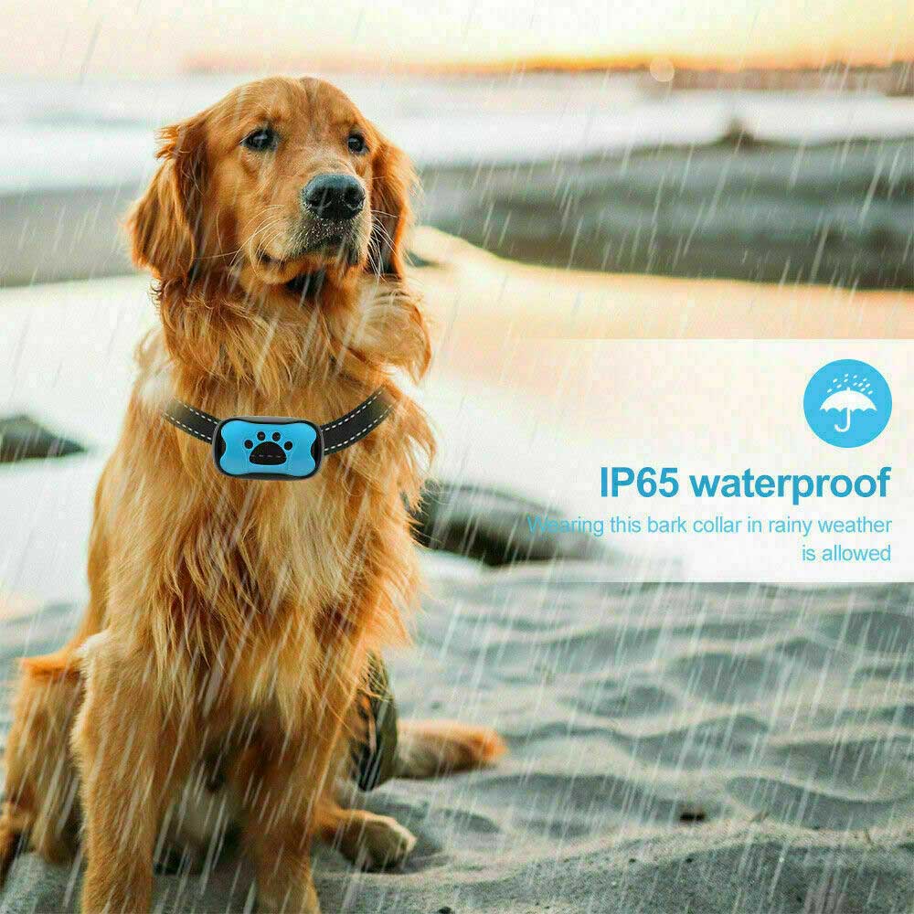 Dog Training Adjustable Sound Vibration Auto Sensing 7 Level Anti Bark Collar Smart Sensor And Long Lasting For Dogs