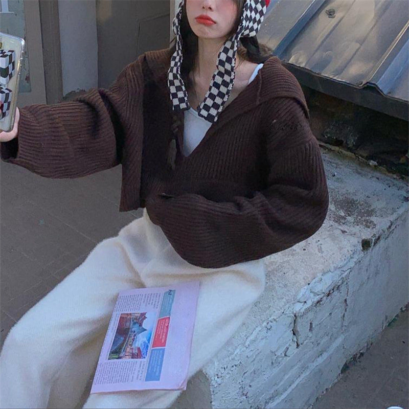 Coffee Color Women's Loose Fit V Neck Long Sleeve Knitted Sweater Cropped Top Pullover for Autumn Winter Clothing Outfit
