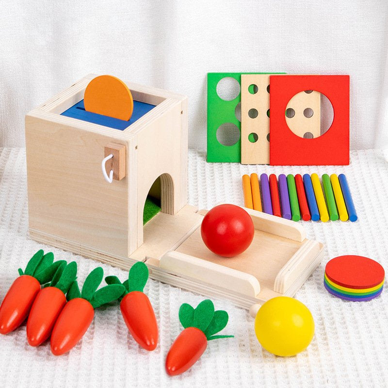 Montessori Toys for 1 2 Year Old, 4 in 1 Wooden Toy Box Includes Object Permanence Box, Carrot Harvest, Shape Sorter-Educational Toys