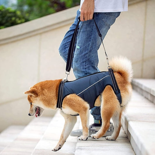 New Elderly Dog Auxiliary Clothing Disabled Dog Going Out Auxiliary Belt Walking Obstacle Dog Care Clothing