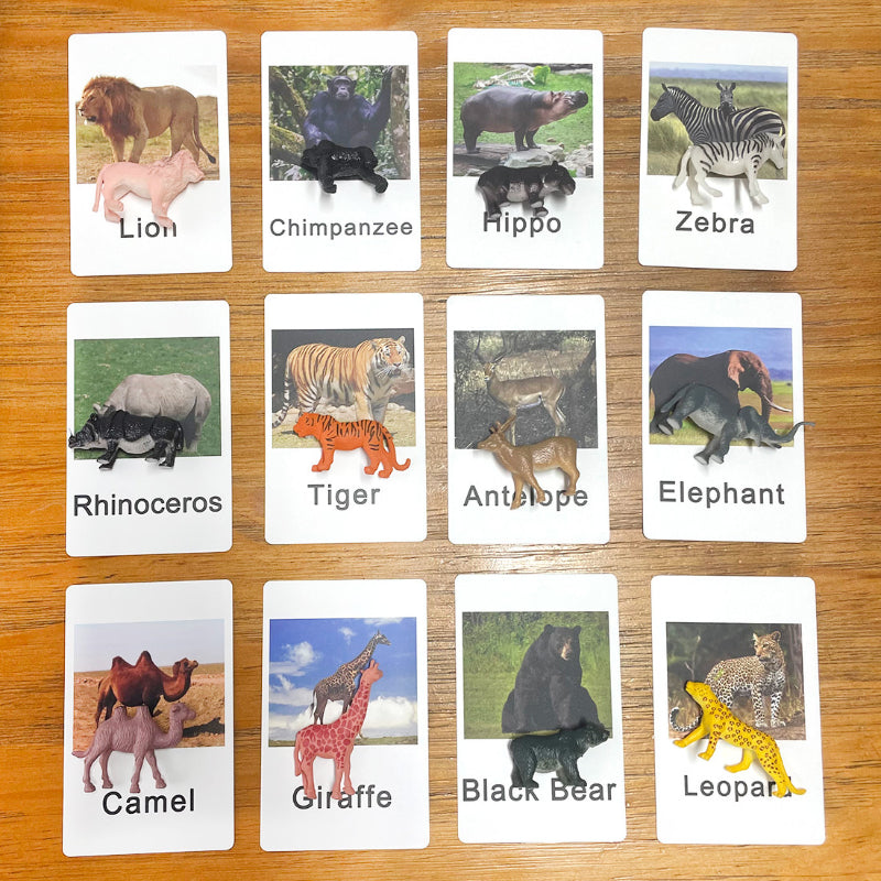 Montessori Animal Match Cards Miniature Poultry Animals with Matching Cards Montessori Learning Toy Language Materials