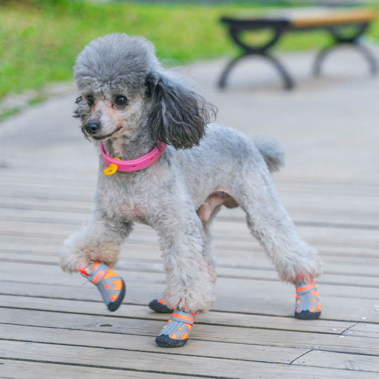 Pet Shoes Spring And Summer Breathable Mesh Shoes Dog Outdoor Small Dog Teddy Shoes Small Dog Dogs All-season Non-slip