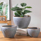 Extra Large Nordic Ceramic Flower Pot Light Luxury Planter for Living Room Fortune Tree Green Plants Extra Wide Diameter High-End Home Decor Vase