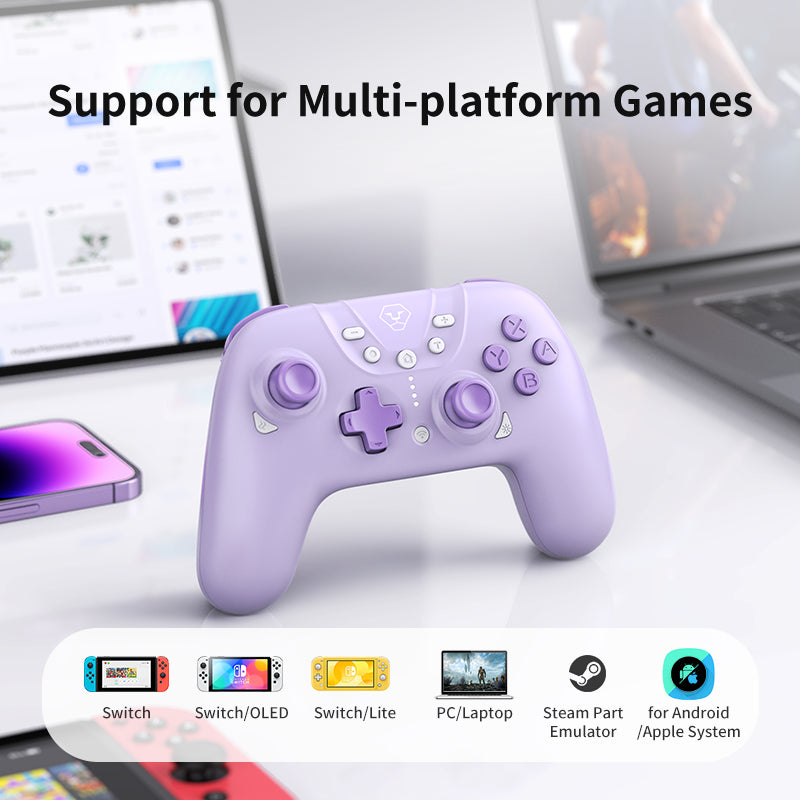 2.4G Wireless Controller for Nintendo Switch Console PC Pro Gamepad Programmable Turbo Function for Nintendo Switch Oled/Lite