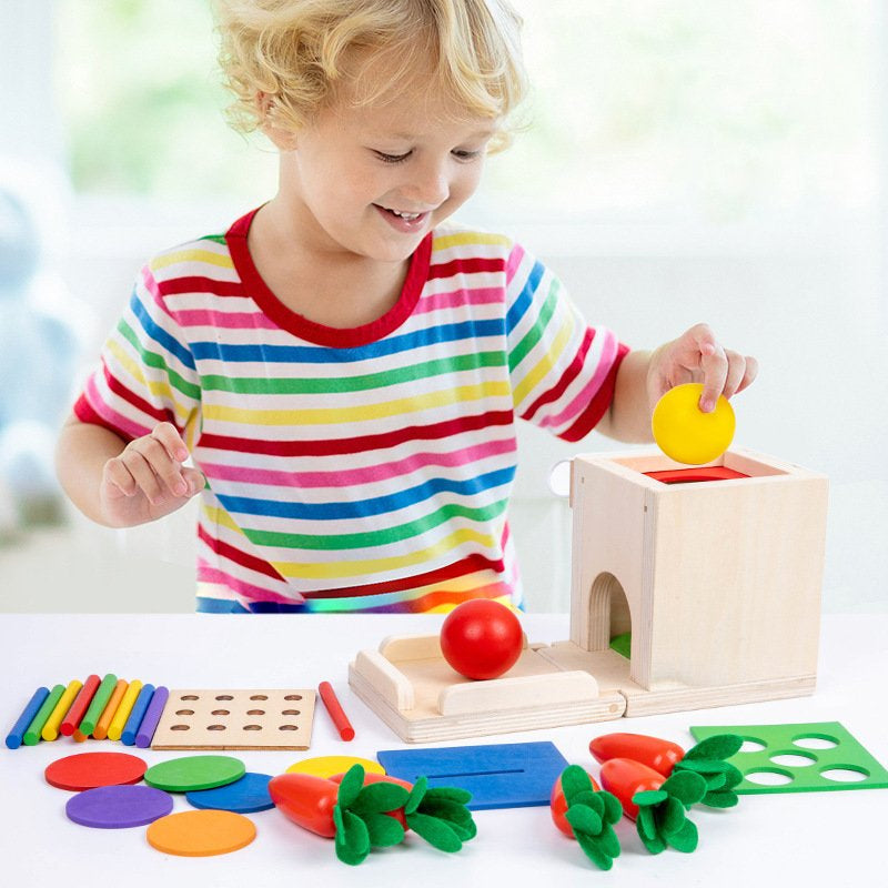 Montessori Toys for 1 2 Year Old, 4 in 1 Wooden Toy Box Includes Object Permanence Box, Carrot Harvest, Shape Sorter-Educational Toys