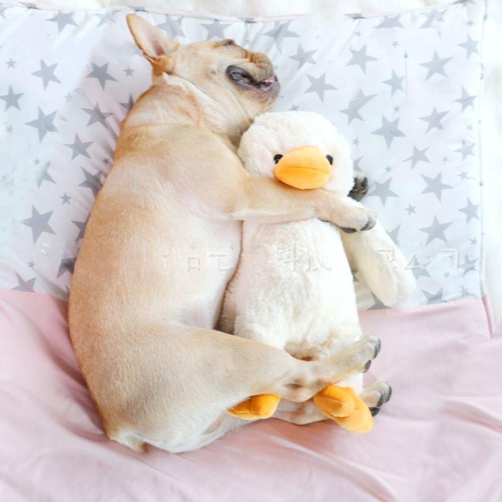 Sleeping with Dog Toy Molars Bite Resistant Plush Duckling Voice Toy Vent Sleeping with Pet Cute Toys