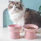 Ceramic Pet Bowl Neck Protection Cat Bowl Dog Bowl Solid Color Oblique Mouth Single Bowl Cat Bowl Neck Protection High