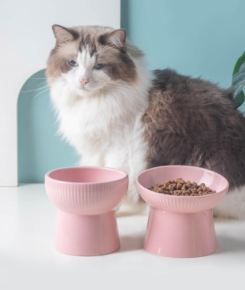 Ceramic Pet Bowl Neck Protection Cat Bowl Dog Bowl Solid Color Oblique Mouth Single Bowl Cat Bowl Neck Protection High