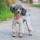 Pet Shoes Spring And Summer Breathable Mesh Shoes Dog Outdoor Small Dog Teddy Shoes Small Dog Dogs All-season Non-slip