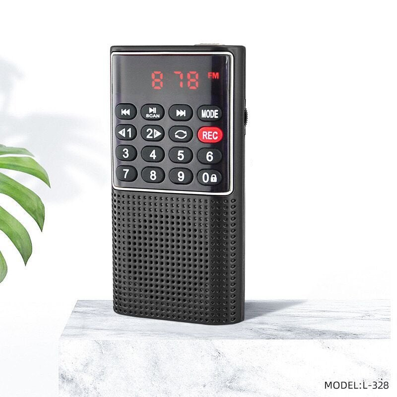 L-328 FM Radio Multifunctional Rechargeable Portable USB TF MP3 Player Handheld Speaker for Outdoor