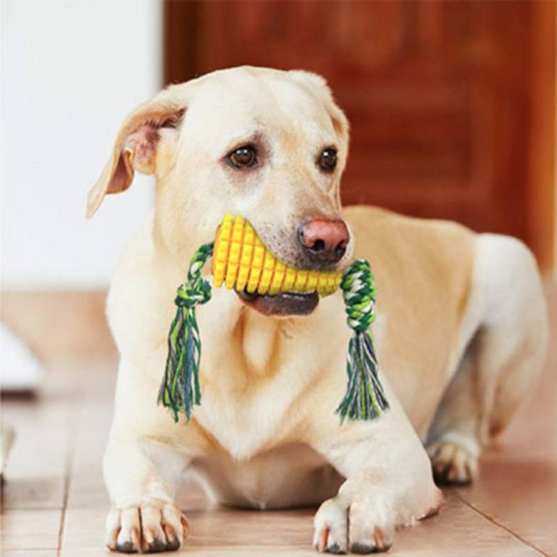 Pet Toys Bite-Resistant Vocal Chew Teeth Cleaning Large Dog Toy Development Play Fun Activity Dog Chewing Corn Toy