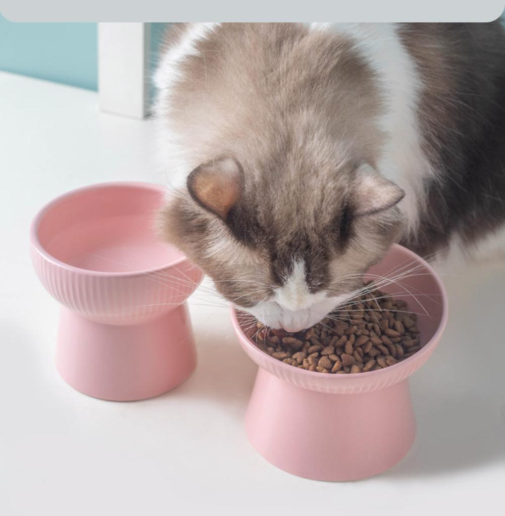 Ceramic Pet Bowl Neck Protection Cat Bowl Dog Bowl Solid Color Oblique Mouth Single Bowl Cat Bowl Neck Protection High
