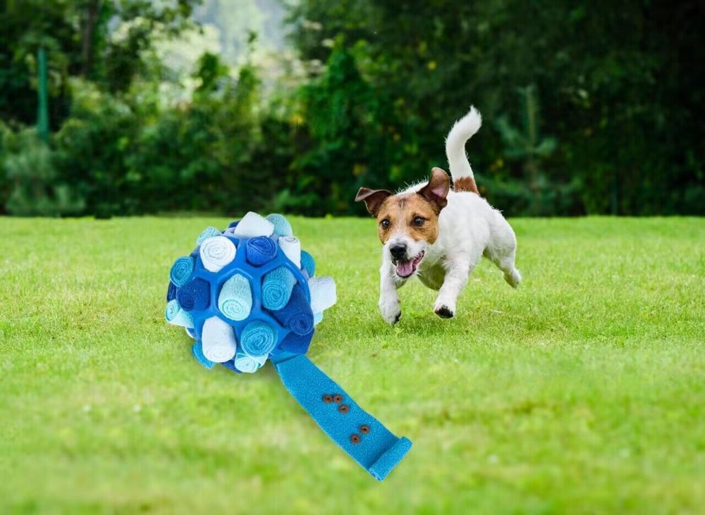 Interactive Pet Snuffle Ball Dog Toy Encourage Natural Foraging Skills Slow Food Training Bite Resistant Puppy Playing