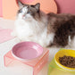 Ceramic Bowl Multi-Color Optional Pet Bowl Water Bowl Cat Dog Food Bowl Acrylic Rack Pet Supplies Cool Color Plate Nordic Style