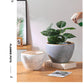 Extra Large Nordic Ceramic Flower Pot Light Luxury Planter for Living Room Fortune Tree Green Plants Extra Wide Diameter High-End Home Decor Vase