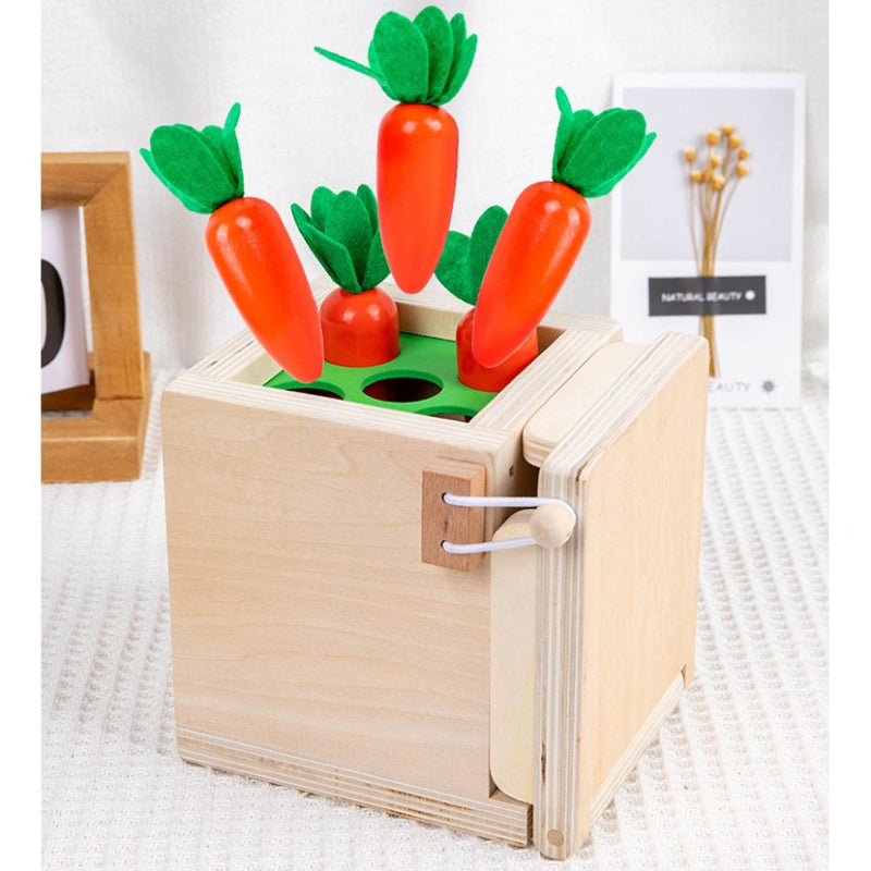 Montessori Toys for 1 2 Year Old, 4 in 1 Wooden Toy Box Includes Object Permanence Box, Carrot Harvest, Shape Sorter-Educational Toys