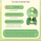 Crawl With Me Baby Doll Toy With Music - Suitable For 18 Months And Above Baby Educational Toy For Fun