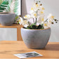 Extra Large Nordic Ceramic Flower Pot Light Luxury Planter for Living Room Fortune Tree Green Plants Extra Wide Diameter High-End Home Decor Vase