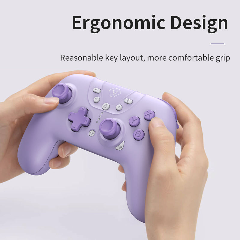 2.4G Wireless Controller for Nintendo Switch Console PC Pro Gamepad Programmable Turbo Function for Nintendo Switch Oled/Lite