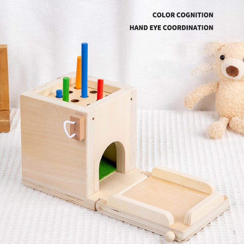 Montessori Toys for 1 2 Year Old, 4 in 1 Wooden Toy Box Includes Object Permanence Box, Carrot Harvest, Shape Sorter-Educational Toys