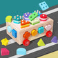 Kids Shape Sorter Learning Toys for Toddlers,Stacking Blocks Montessori Toys Preschool Gift