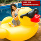 Copy of Large floatie beach duck inflatable float swimming pool party duckie raft