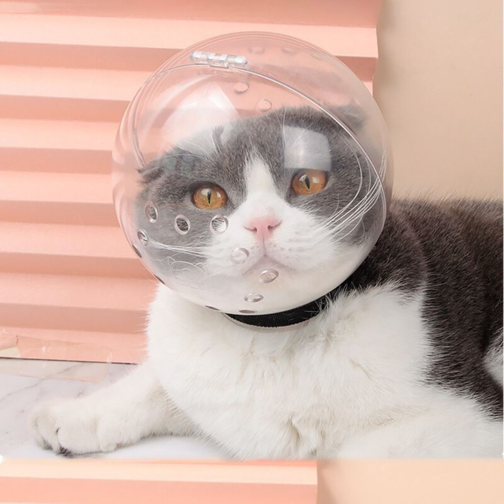 Breathable Cat Muzzle Anti-Bite Grooming Mask Anti-Licking Protective Space Hood Cat Face Mask Cover Breathable Holes