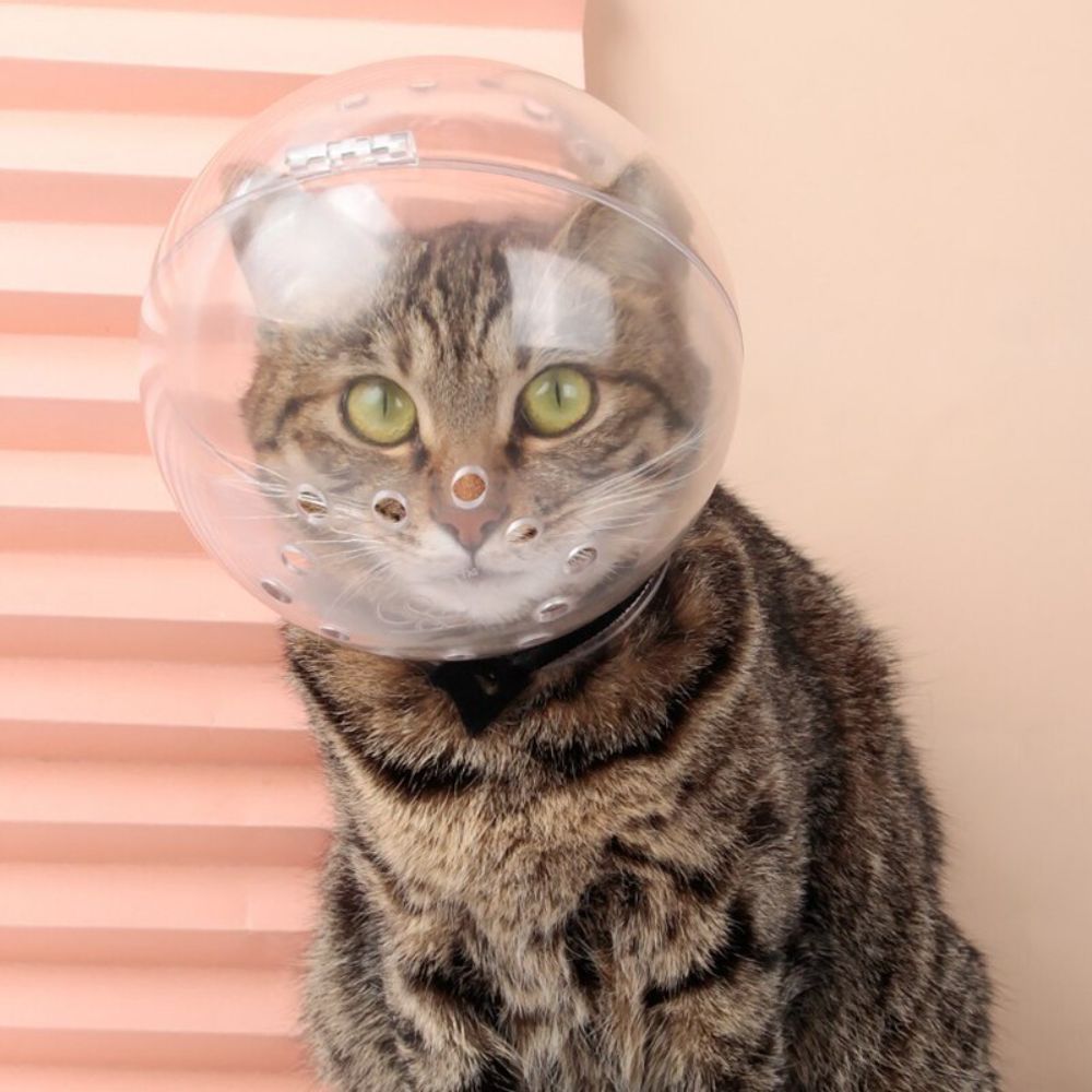 Breathable Cat Muzzle Anti-Bite Grooming Mask Anti-Licking Protective Space Hood Cat Face Mask Cover Breathable Holes