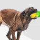 Dog Corn-Shaped Toy With Suction Cup Puppy Chew Cleaning Dental Toy Pet Molar Stick Bite Resistant Interactive Interest