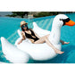 Giant floatie white swan inflatable float swimming pool party floats