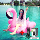 Copy of Pink floatie beach flamingo inflatable float swimming pool party floats